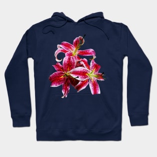 Three Stargazer Lilies Hoodie